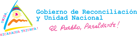 Marca institucional